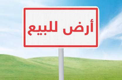  قطعتين ارض بمساحه ١٣٣ و ١٣٤ متر صافي مباني بالقرب من مسجد الفتح و مدرسه صلاح خطاب من الوسيط العقارية بشبين الكوم
